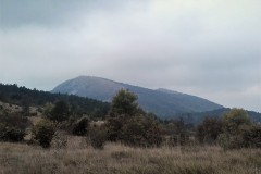 Pred nami se pokaže današnji vrh - Žbevnica (1014m)
