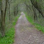 S kolesom na Dobrovlje - Čreto