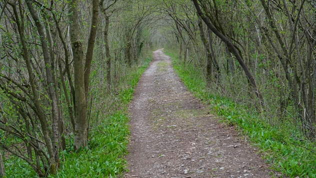 S kolesom na Dobrovlje - Čreto